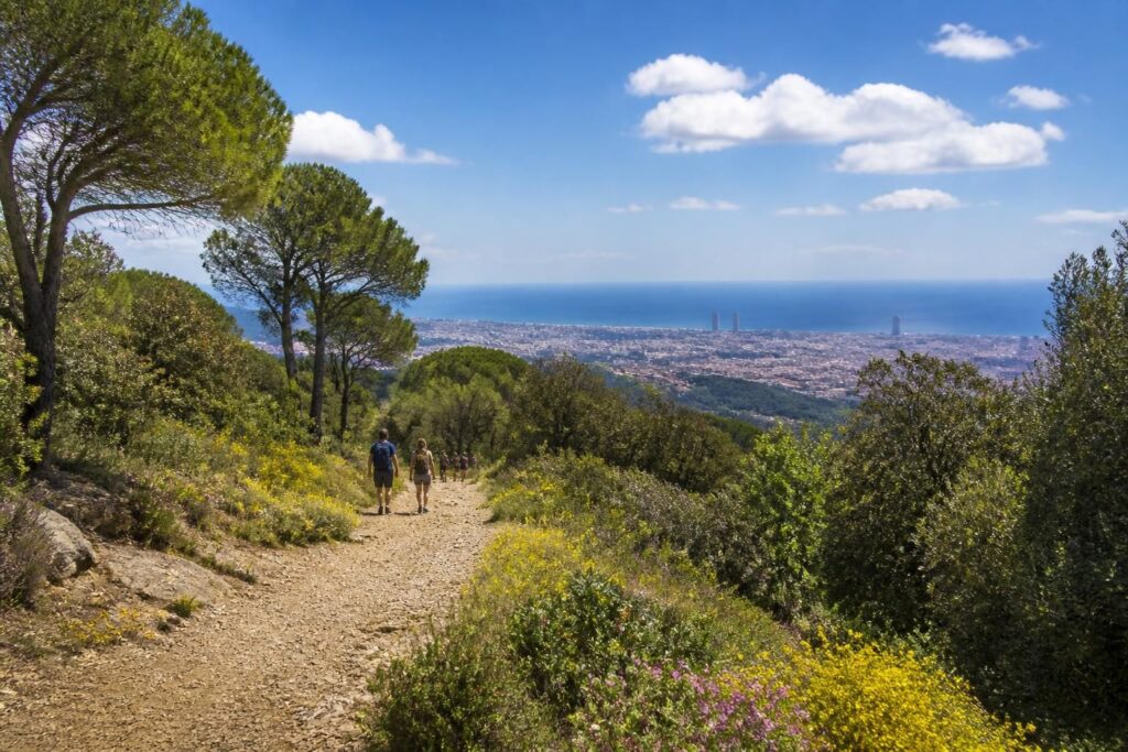 découvrez le parc naturel de collserola, un havre de nature à deux pas de barcelone, idéal pour la randonnée, le vélo et l'observation de la faune et la flore locales.